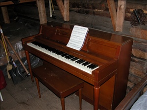 031015 coDSCN4162.jpg
